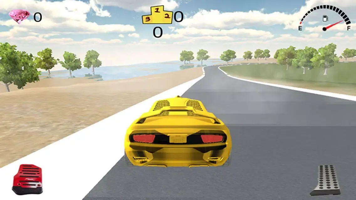 Racing North Road স্ক্রিনশট