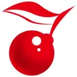 汶川甜樱桃