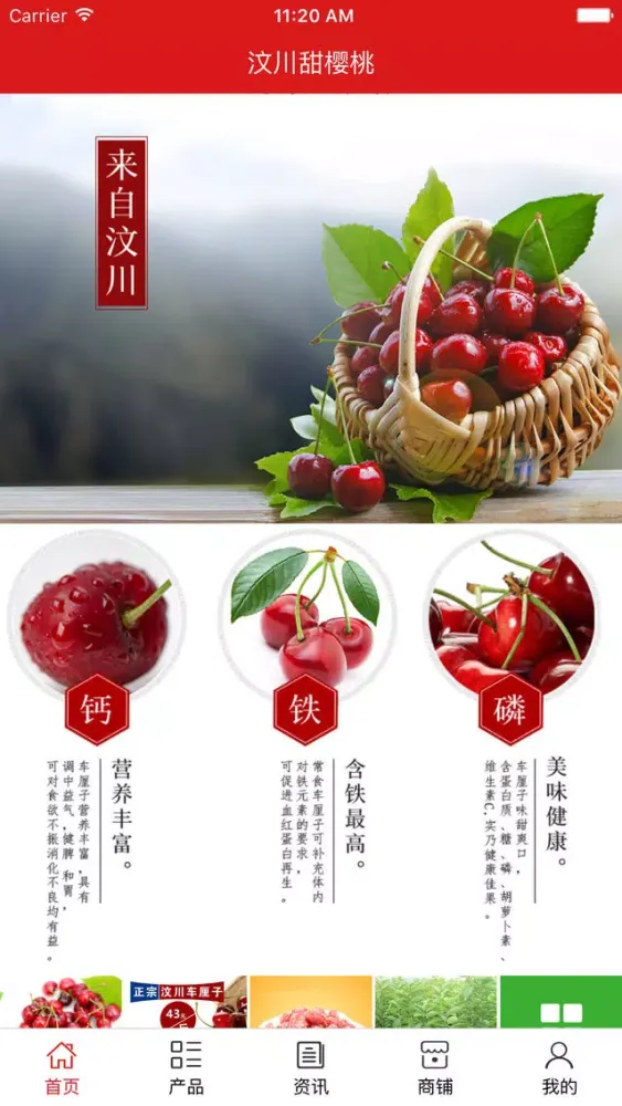 تصاویر 汶川甜樱桃