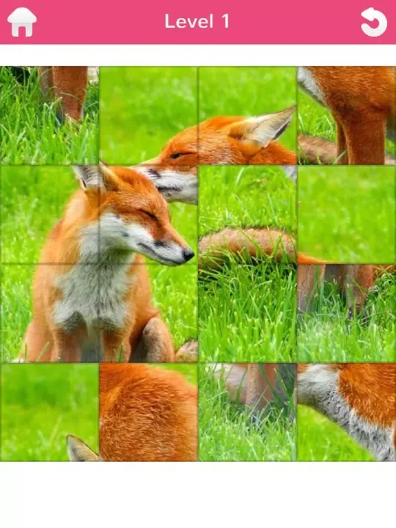 101 Puzzle Pix iPad 应用截图