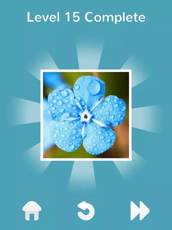 101 Puzzle Pix iPad 应用截图
