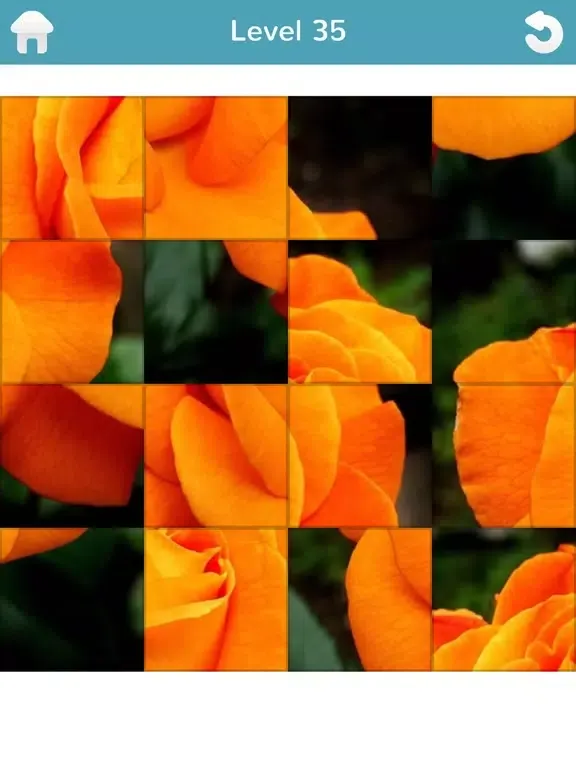 101 Puzzle Pix iPad 应用截图