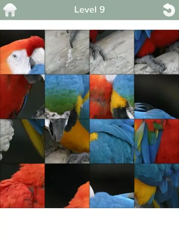 101 Puzzle Pix iPad 应用截图