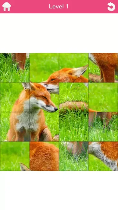 101 Puzzle Pix应用截图