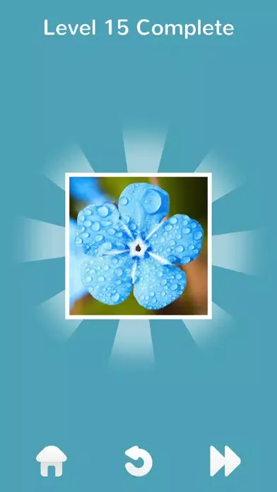 101 Puzzle Pix应用截图
