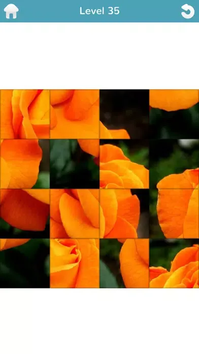 101 Puzzle Pix应用截图