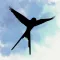 WingMate Companion