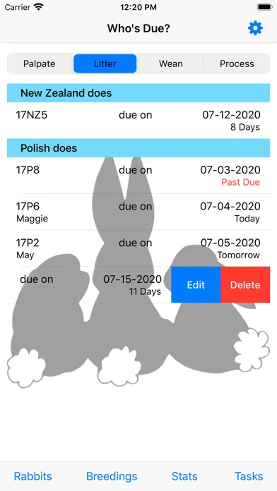 Screenshot di WhosDue