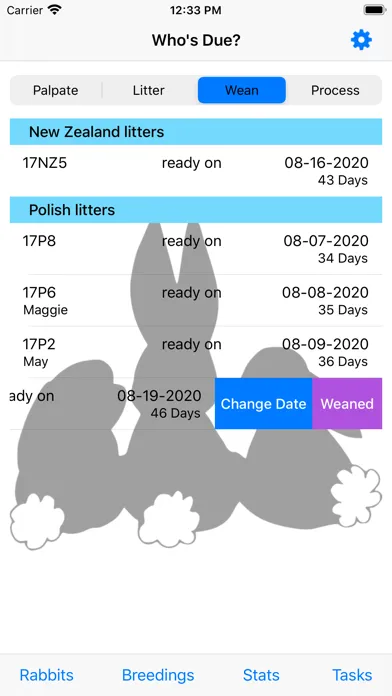 Screenshot di WhosDue