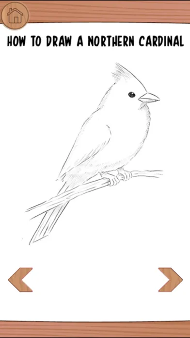 How To Draw-Learn Step By Step Screenshots