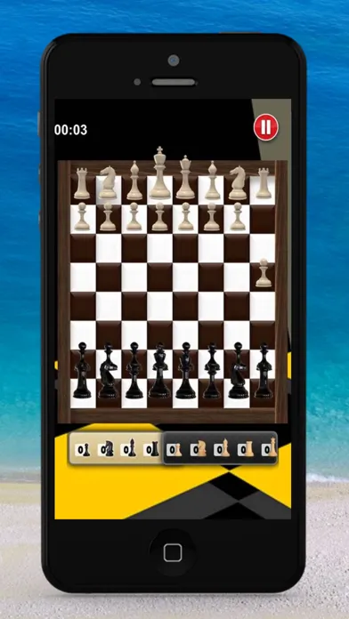 تصاویر The Chess Play