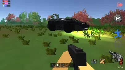 Ảnh chụp màn hình của Chicken Dinner Survival Zone