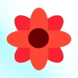 Flower Store 3D