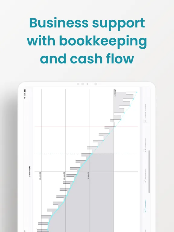 Mafin - Smart Accounting Book iPad  Ekran Görüntüleri