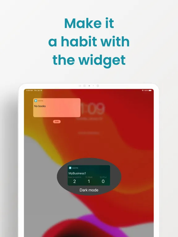 Mafin - Smart Accounting Book iPad  Ekran Görüntüleri