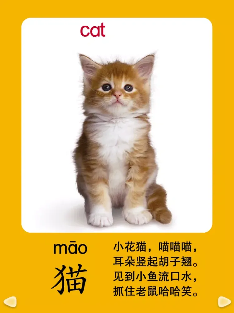 Tangkapan layar HappyReading-宝宝识动物 iPad 
