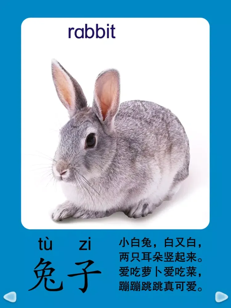 Tangkapan layar HappyReading-宝宝识动物 iPad 