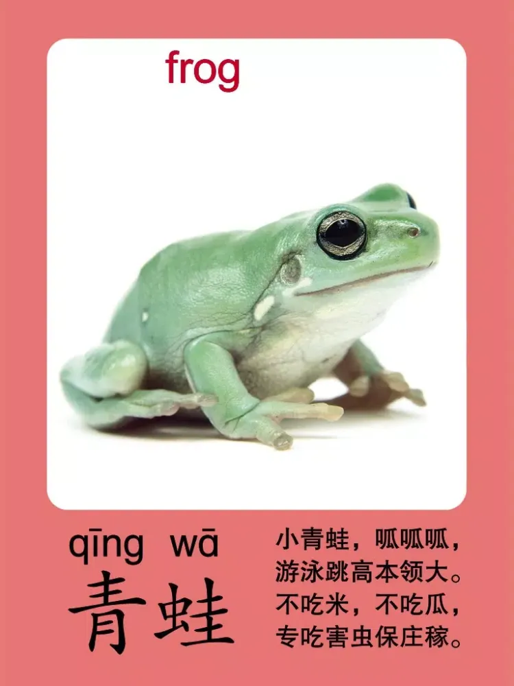 Tangkapan layar HappyReading-宝宝识动物 iPad 