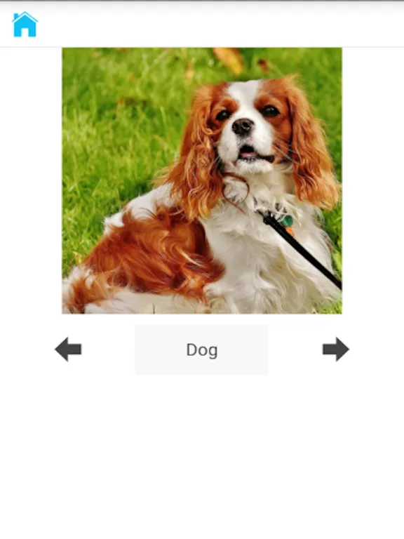 Animal Sounds & Photos for Kids iPad  স্ক্রিনশট