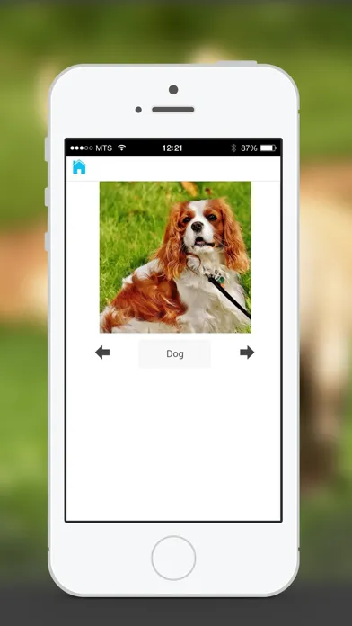 Animal Sounds & Photos for Kids স্ক্রিনশট