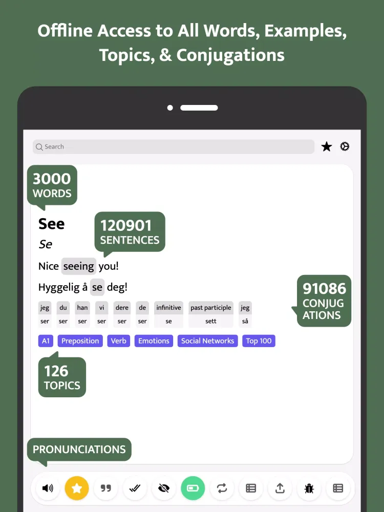 Most Common Norwegian Words Screenshots