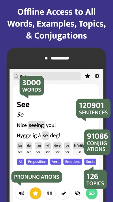 Most Common Norwegian Words應用截圖
