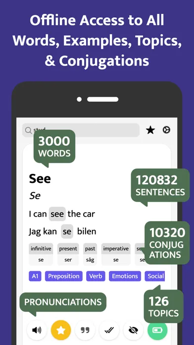 Most Common Swedish Words應用截圖