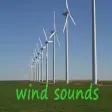 Wind Sounds