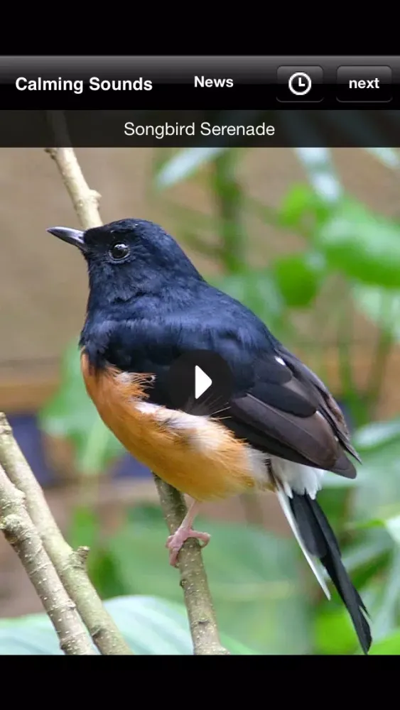 Capturas de pantalla de Calming Sounds