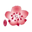 China Airlines App China Airlines App