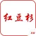 红豆杉网