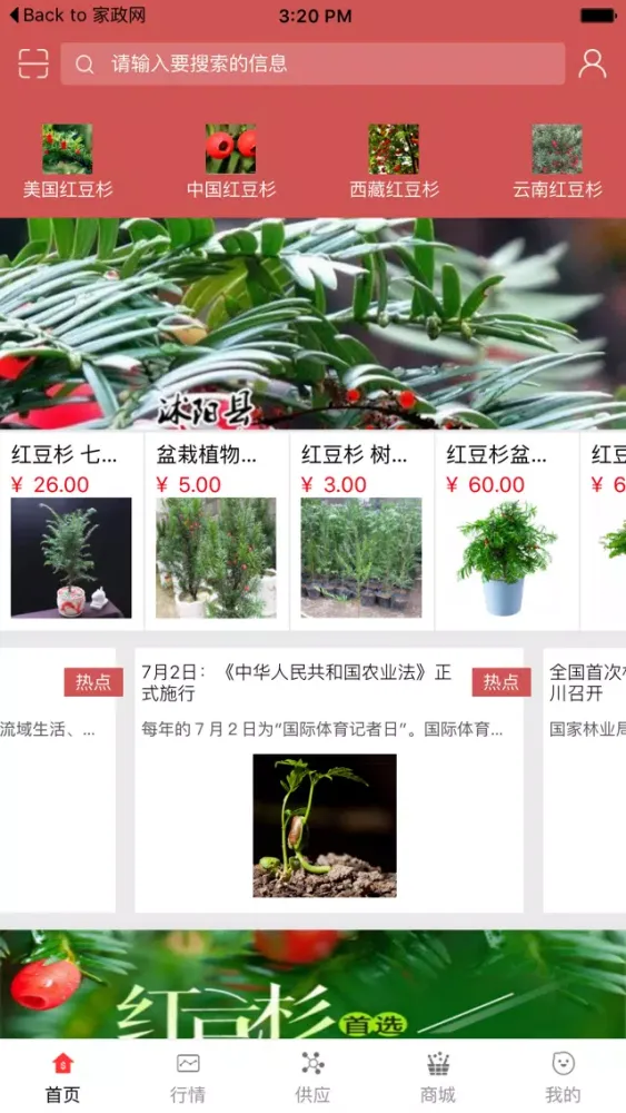 红豆杉网應用截圖