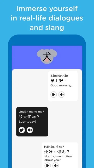 Talk Chineasy: Speak With Ease应用截图