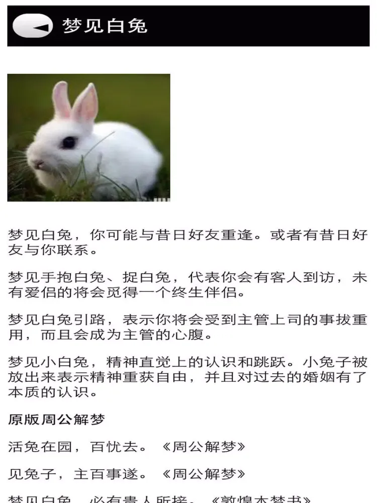 Dream Meaning in Chinese iPad 应用截图