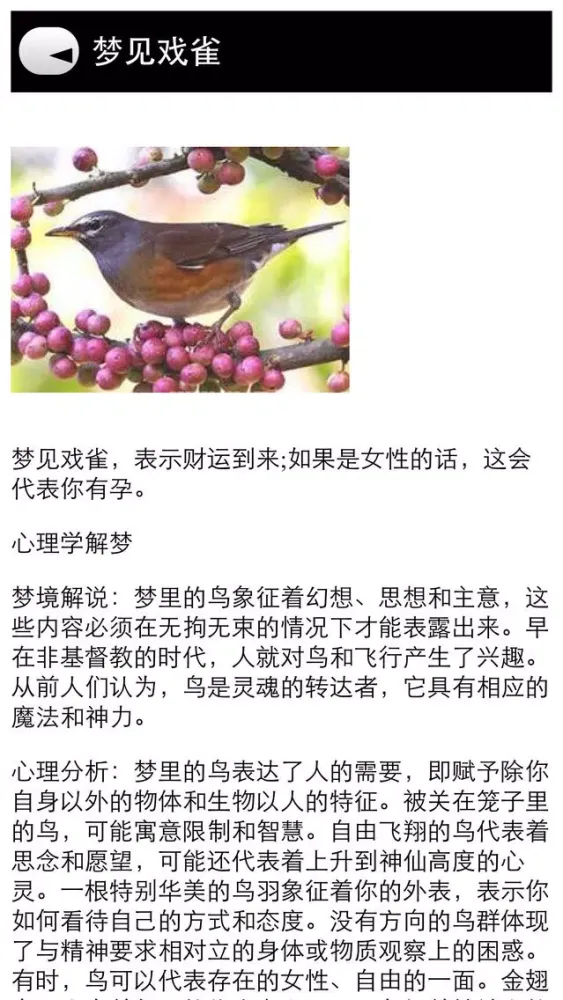 Dream Meaning in Chinese应用截图