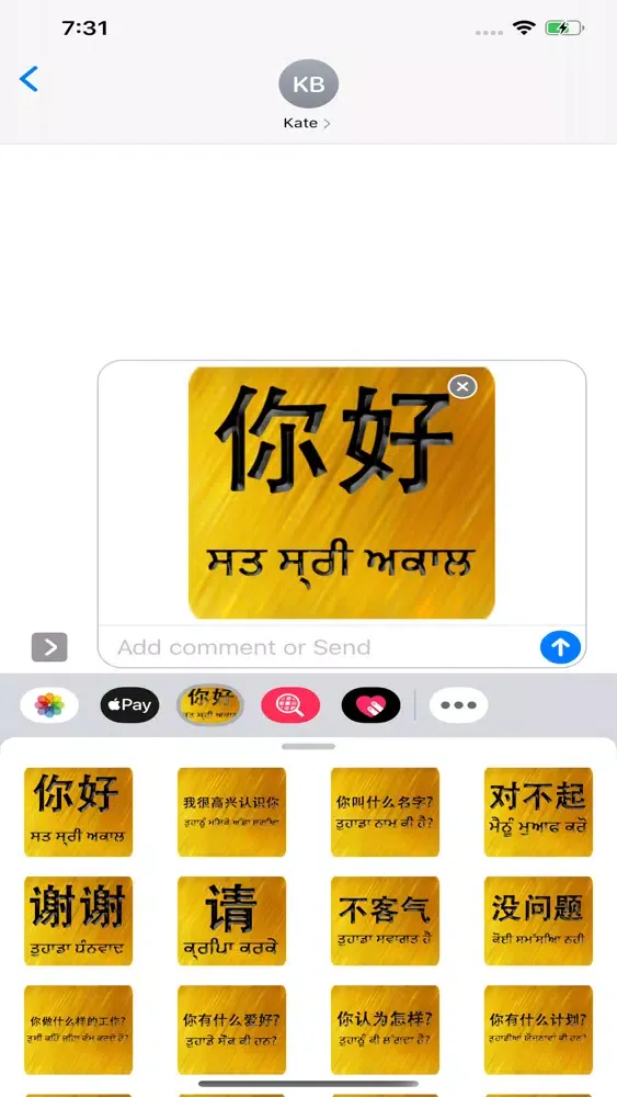 Скриншоты Chinese Punjabi
