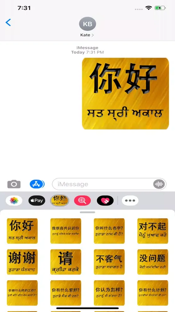 Скриншоты Chinese Punjabi