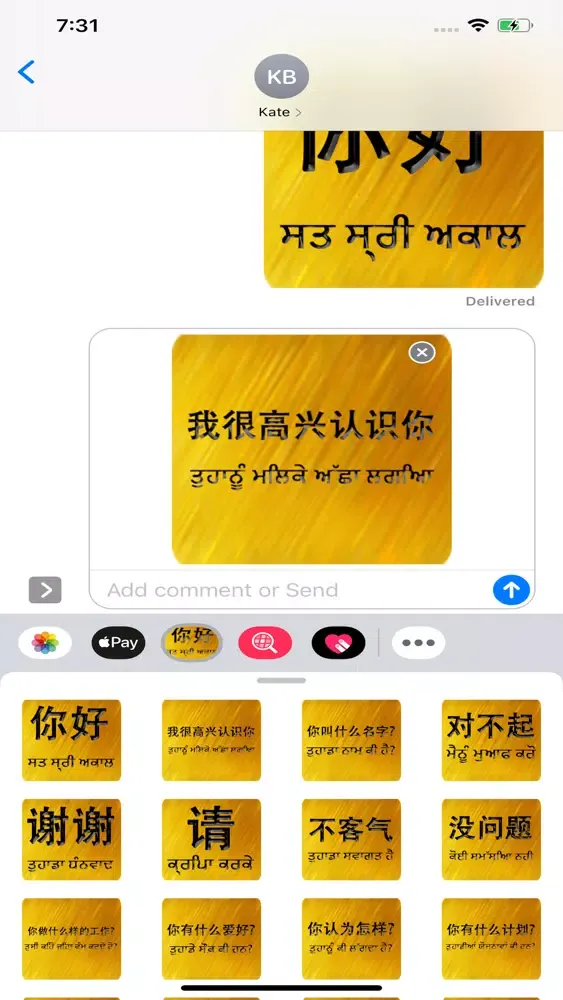 Скриншоты Chinese Punjabi