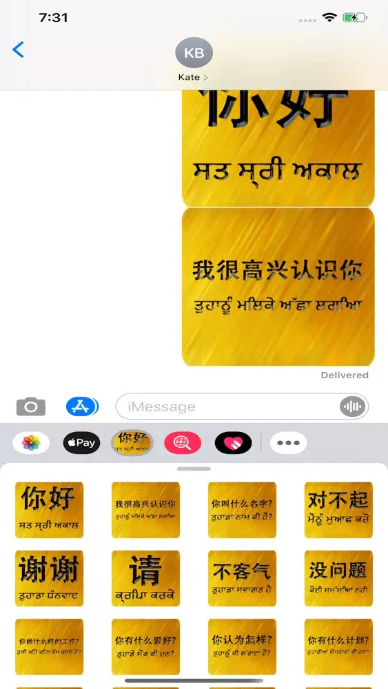 Скриншоты Chinese Punjabi