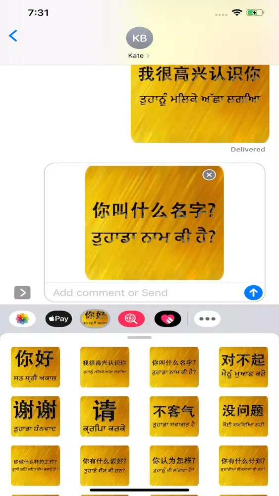 Скриншоты Chinese Punjabi