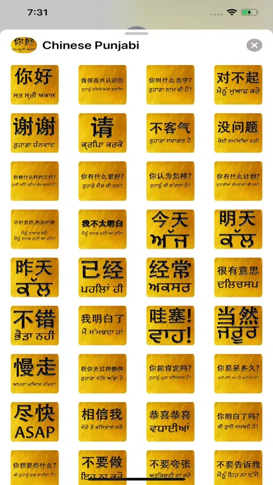 Скриншоты Chinese Punjabi