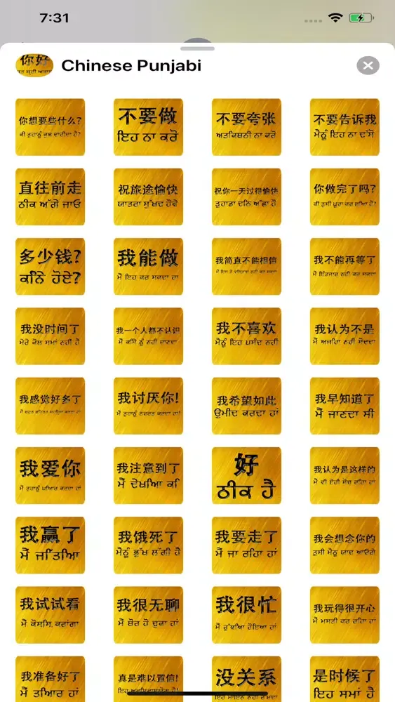 Скриншоты Chinese Punjabi