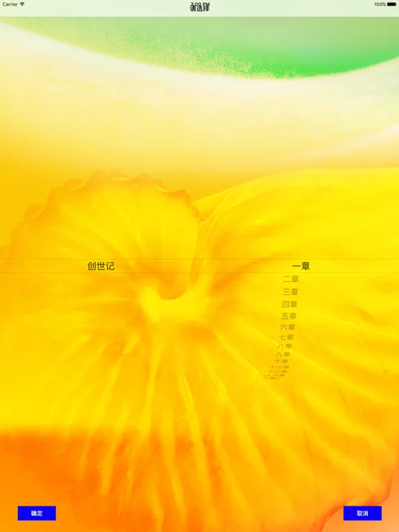 圣经‧普通话聆听版 iPad  Screenshots