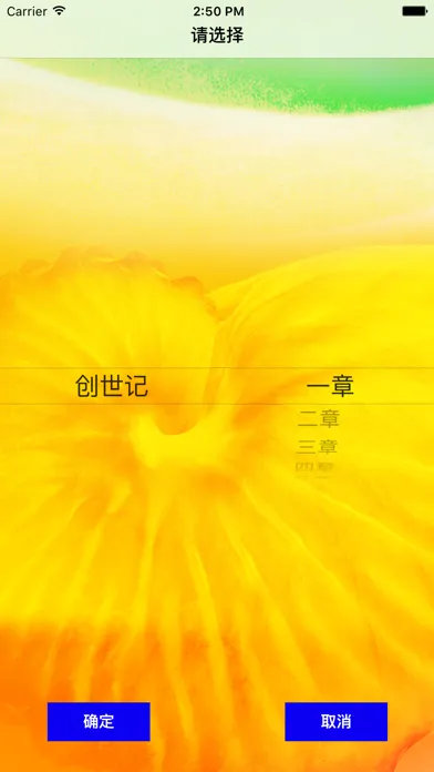 圣经‧普通话聆听版 Screenshots