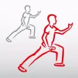 Tai Chi with Me - A video tool to help effective learning and memorizing
