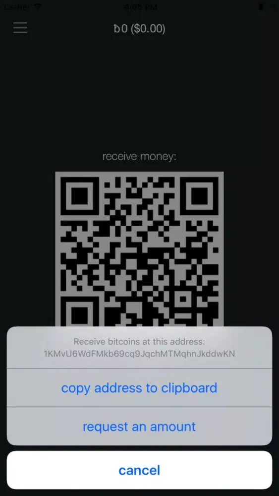 BTC Pesa Screenshots