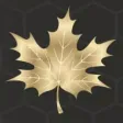 Maple Bullions Maple Bullions