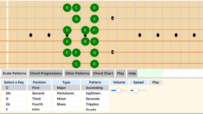 صور Chirper Guitar Simulator