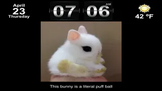 Cute Animal Pics Watch App - Fun pictures for children, young kids, and adults应用截图