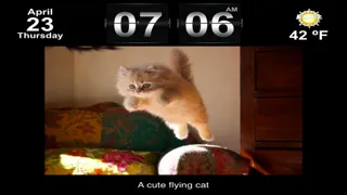 Cute Animal Pics Watch App - Fun pictures for children, young kids, and adults应用截图